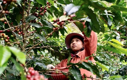 Four decades of poverty reduction in Vietnam: Bold action to leave no one behind